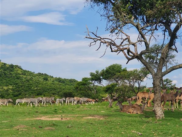 2 000 ha Farm