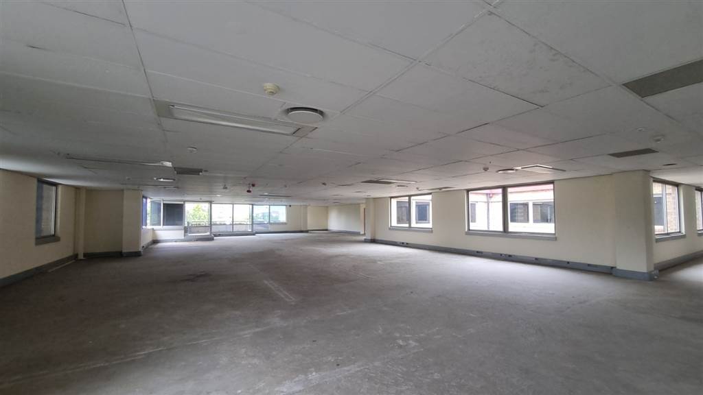 540  m² Commercial space in Hatfield photo number 6