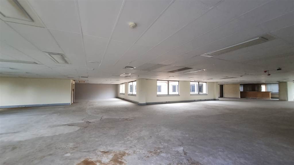 540  m² Commercial space in Hatfield photo number 9