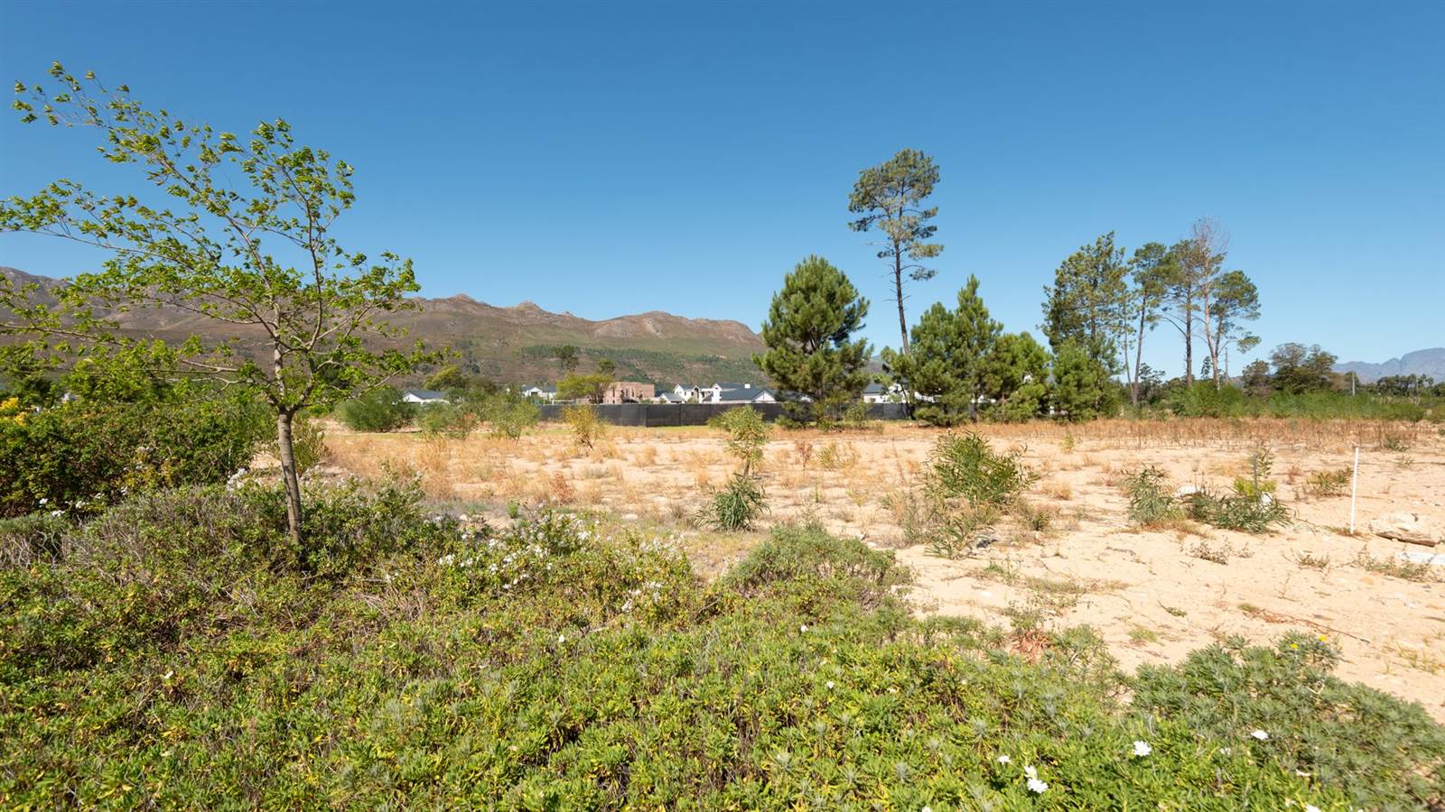 890 m² Land available in Pearl Valley photo number 3