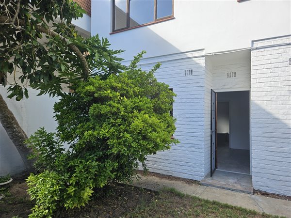 30 m² Commercial space 30 m² Commercial space