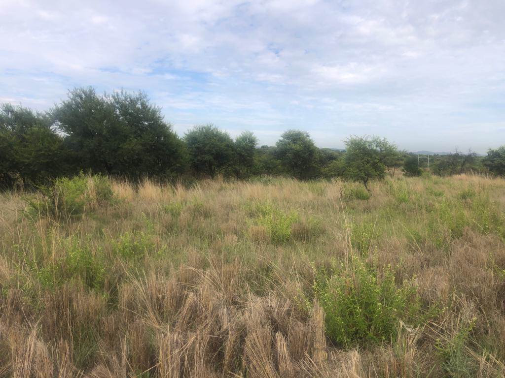 4.3 ha Land available in Mooiplaats AH photo number 11