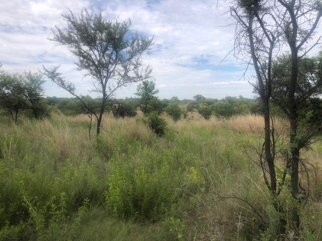 4.3 ha Land available in Mooiplaats AH photo number 3