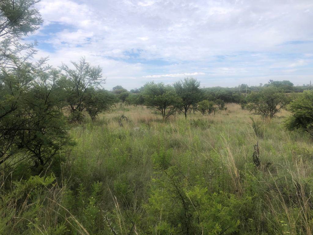 4.3 ha Land available in Mooiplaats AH photo number 9