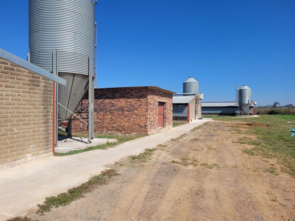 22 ha Farm in Bapsfontein photo number 15