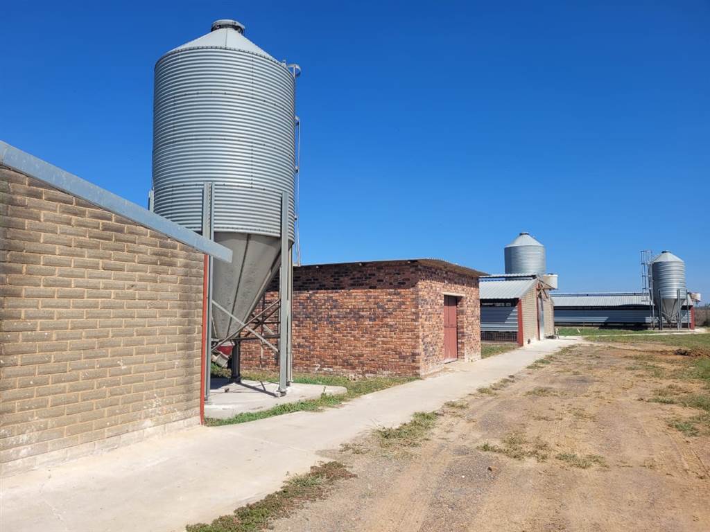 22 ha Farm in Bapsfontein photo number 13