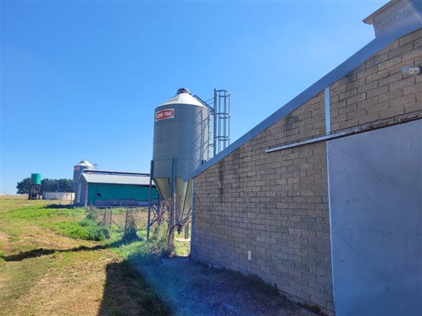 22 ha Farm in Bapsfontein