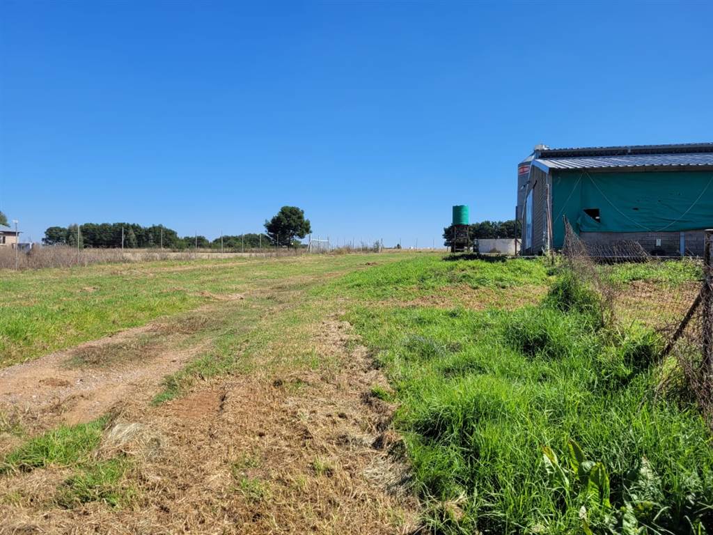 22 ha Farm in Bapsfontein photo number 5