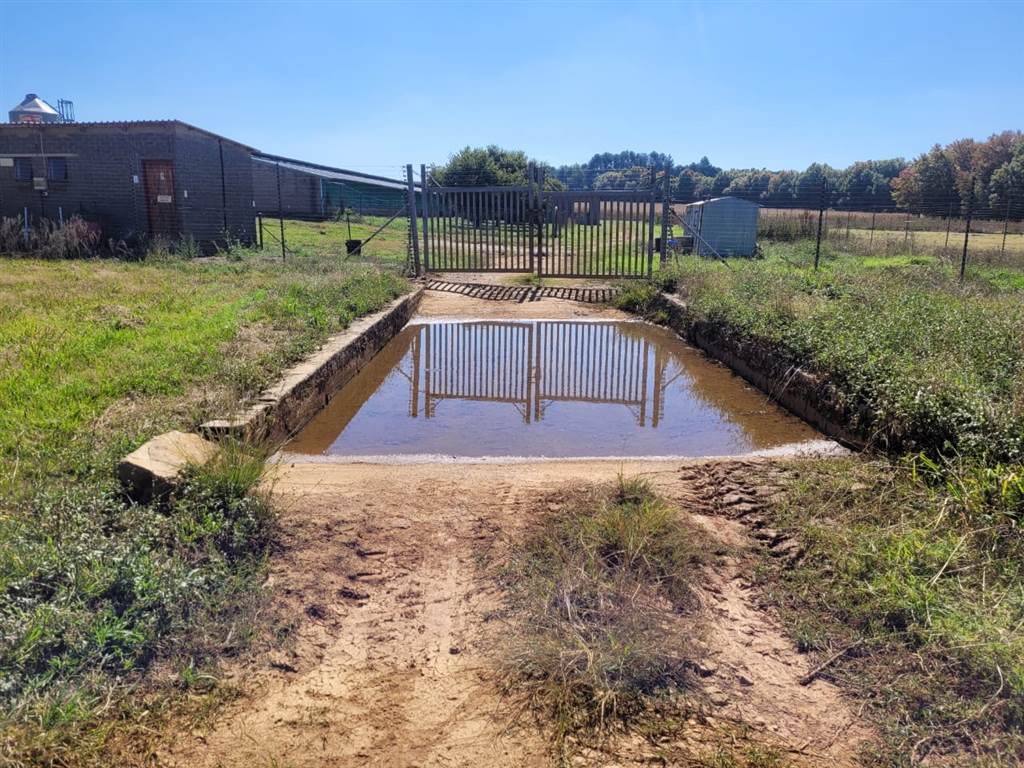 22 ha Farm in Bapsfontein photo number 3