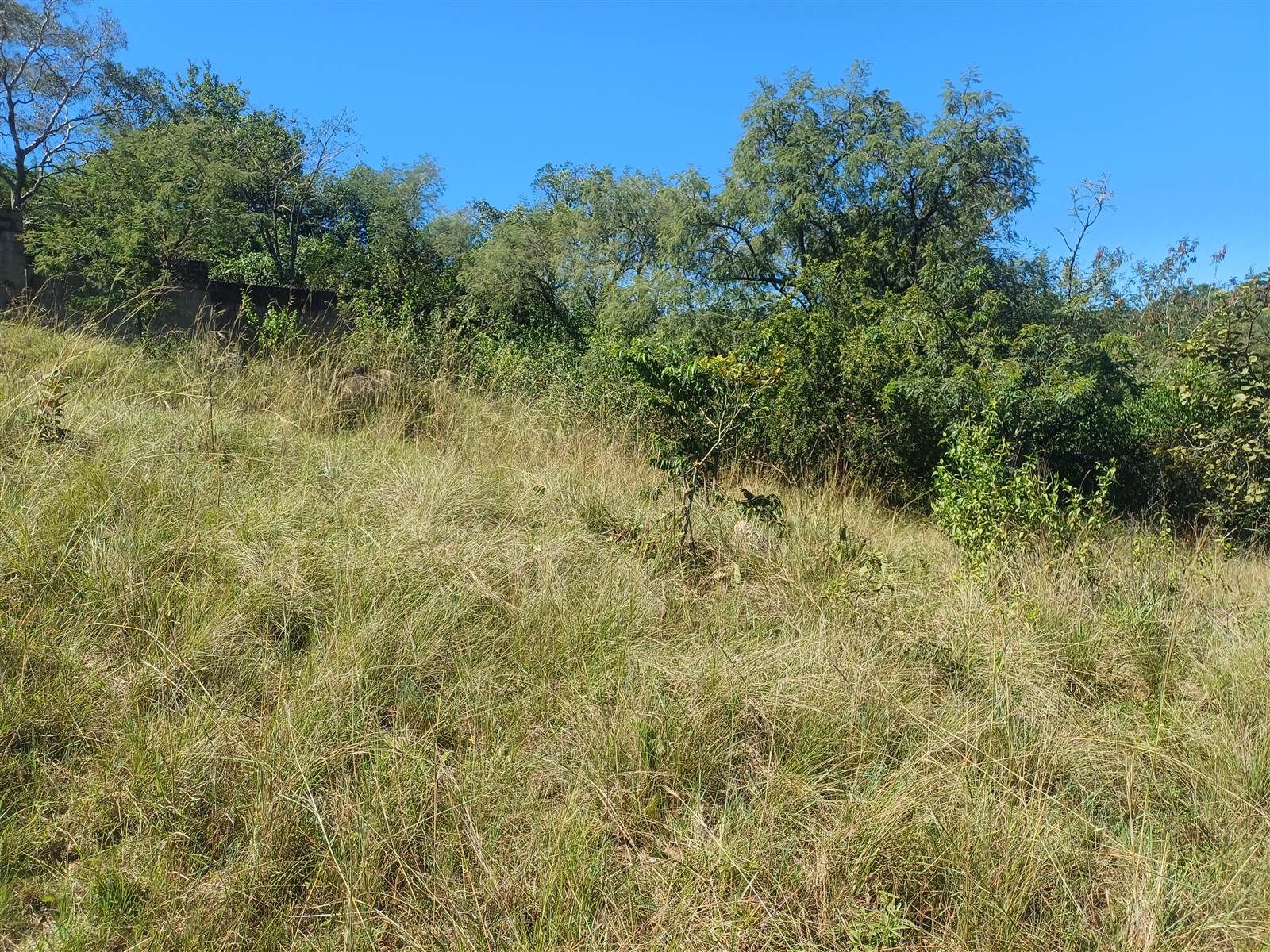 1 ha Land available in Nelspruit photo number 11