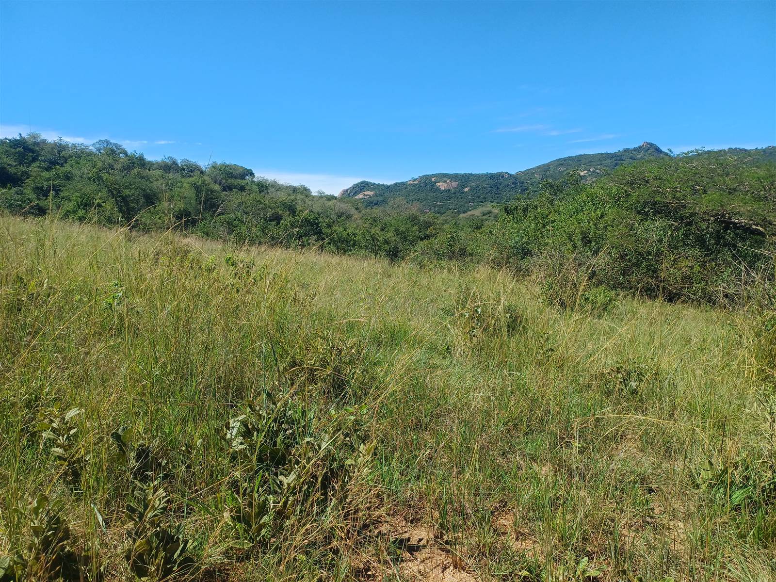 1 ha Land available in Nelspruit photo number 6