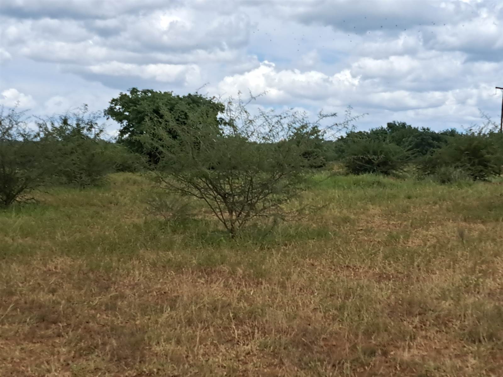 2395 m² Land available in Elephant Rock Eco Estate photo number 1