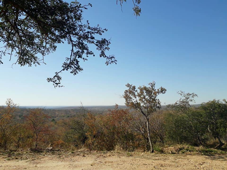 2395 m² Land available in Elephant Rock Eco Estate photo number 11