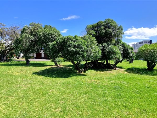 912 m² Land available in Strand Central