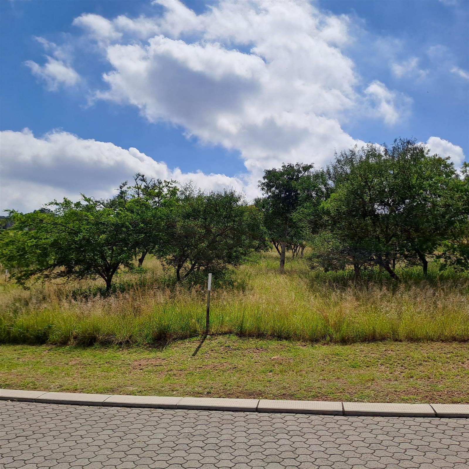 1009 m² Land available in Sonheuwel photo number 4