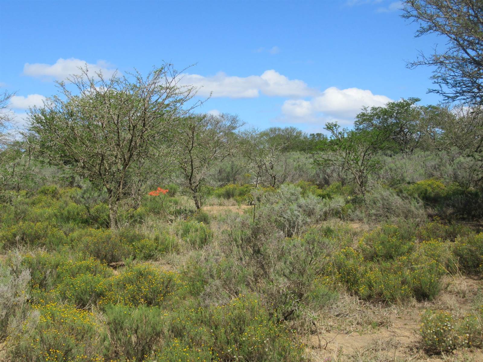 8729 m² Land available in Riebeeck East photo number 2