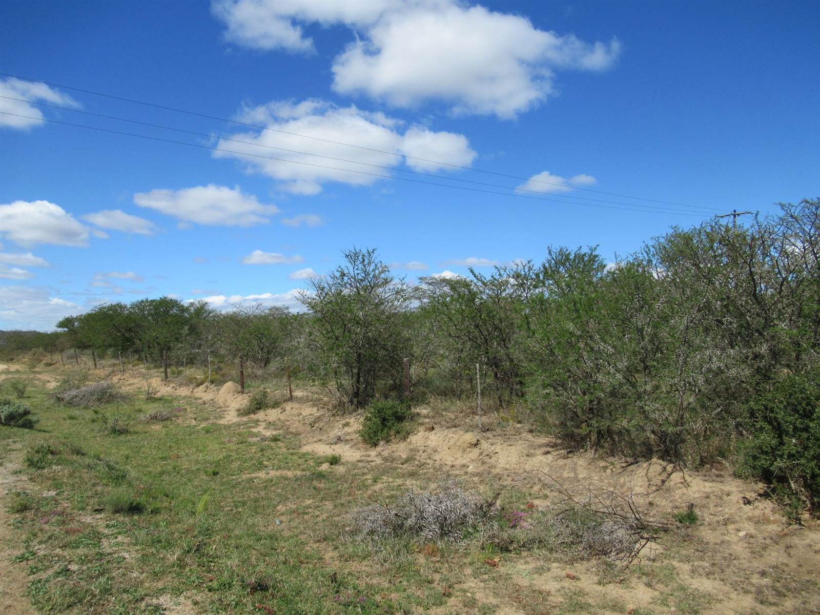 8729 m² Land available in Riebeeck East photo number 1