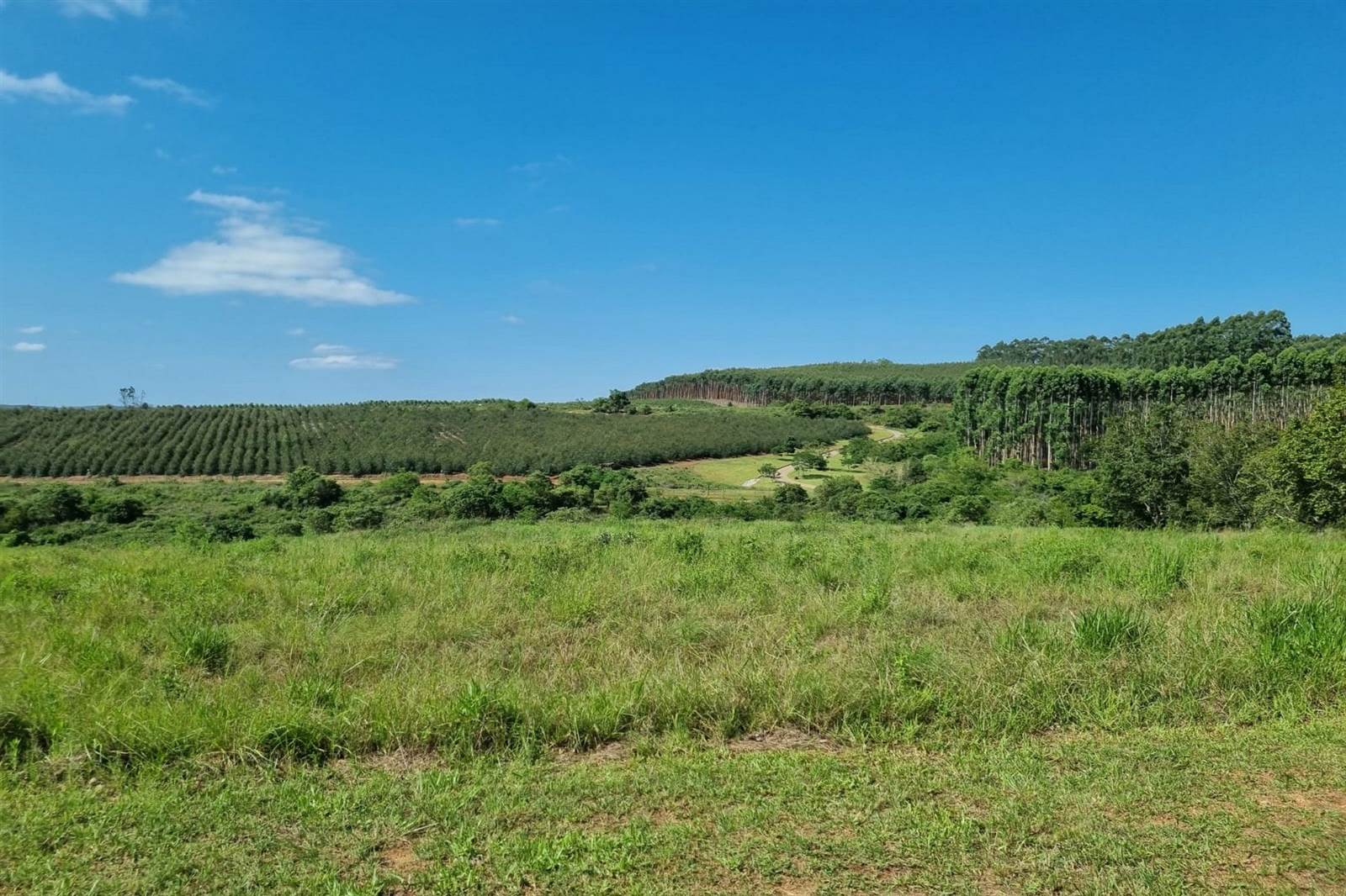 983 m² Land available in White River photo number 9