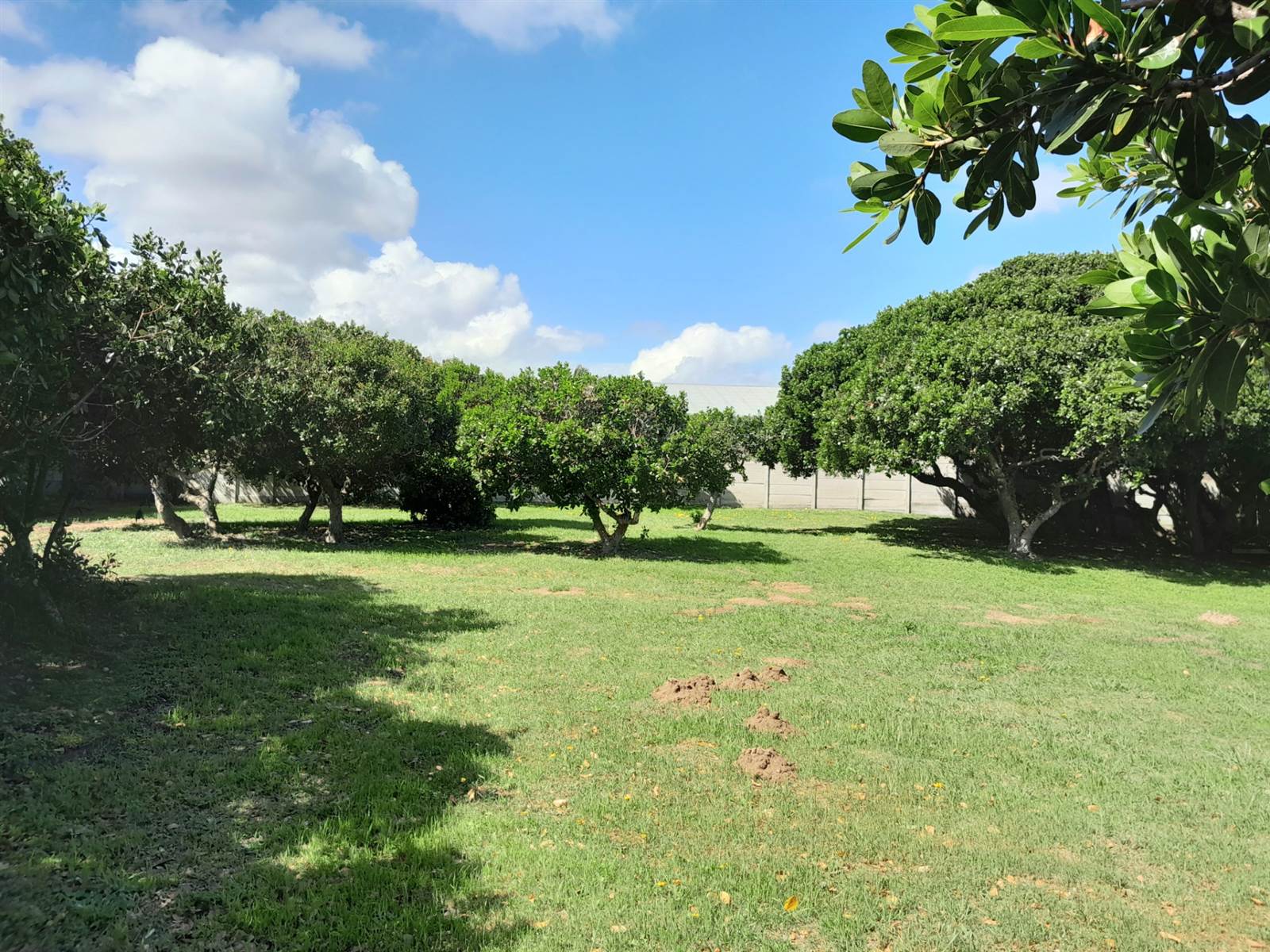 985 m² Land available in Kleinbaai photo number 6