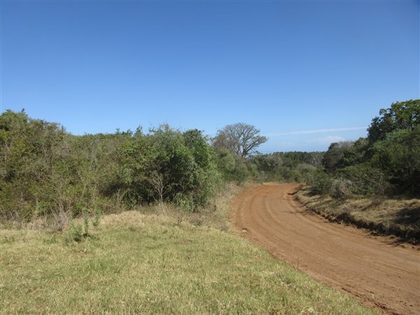 1586 m² Land available in Bathurst and Surrounds