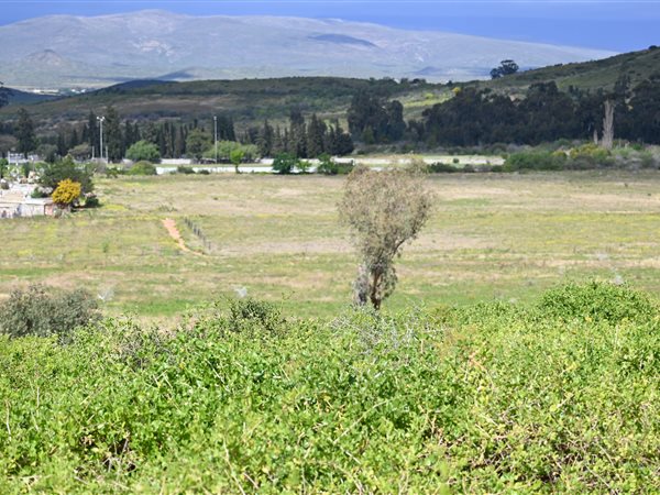 74 ha Land available in Robertson