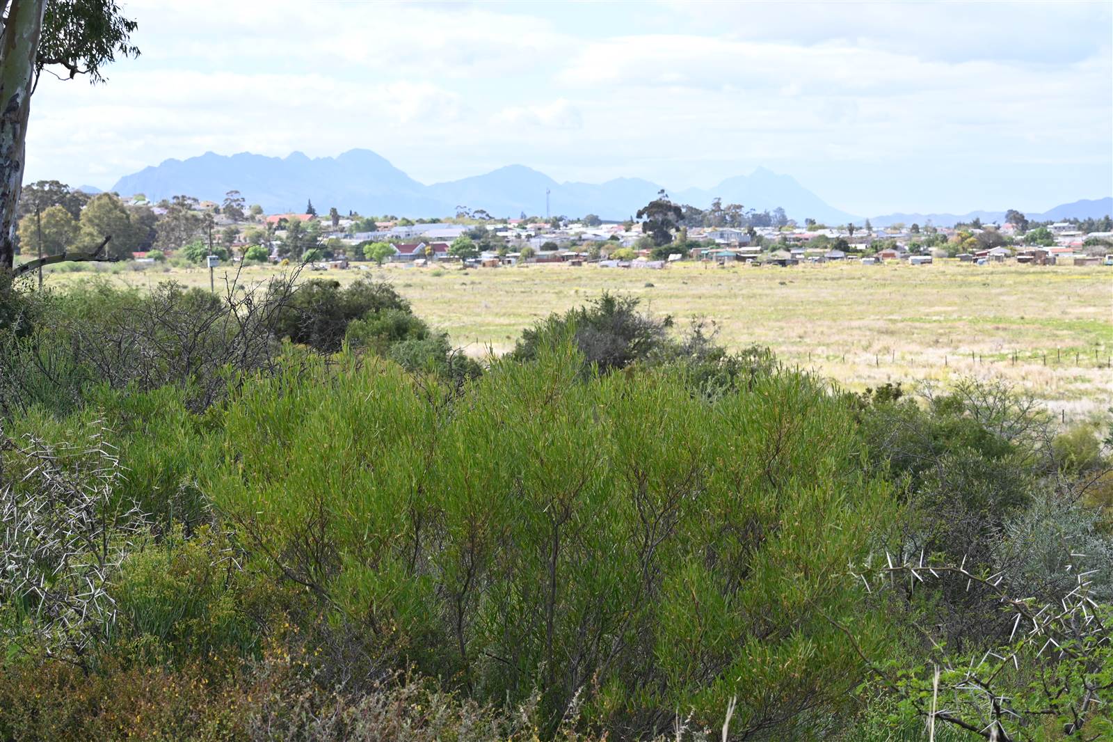 74 ha Land available in Robertson photo number 19