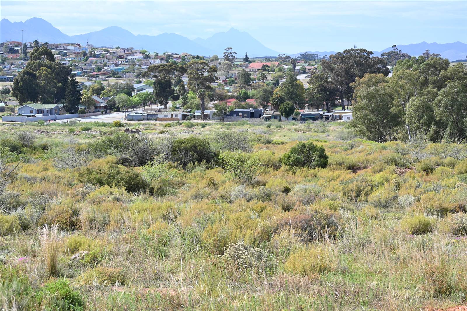 74 ha Land available in Robertson photo number 13