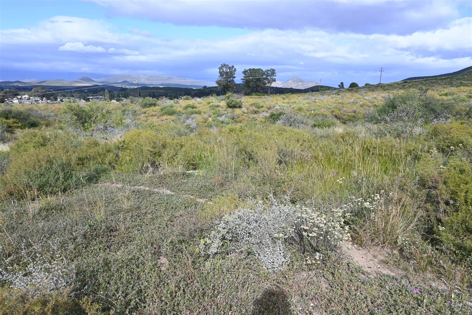 74 ha Land available in Robertson photo number 4