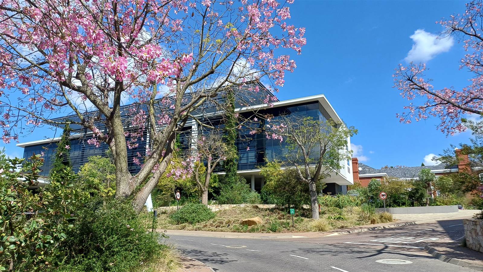 368.9  m² Commercial space in Bryanston photo number 19