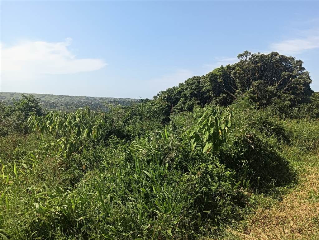 1.3 ha Land available in Umkomaas photo number 7