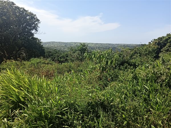 1.3 ha Land available in Umkomaas