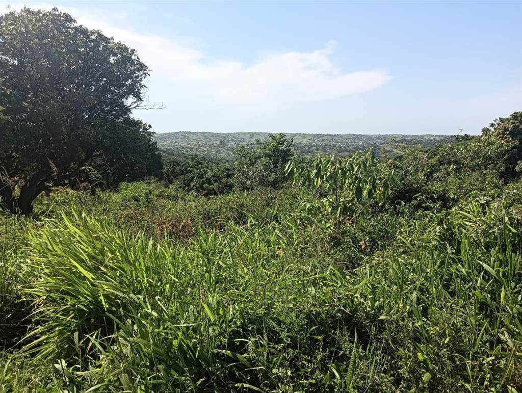 1.3 ha Land available in Umkomaas photo number 8