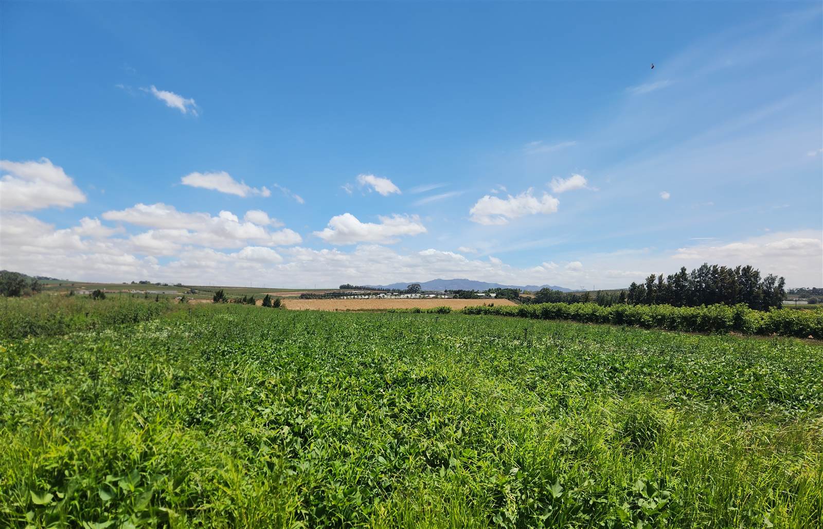 16.6 ha Farm in Northern Paarl photo number 5
