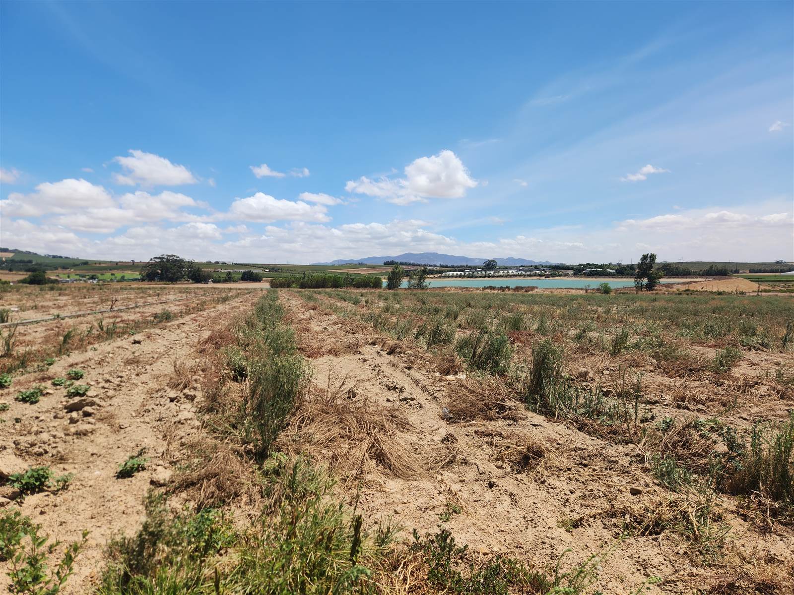 16.6 ha Farm in Northern Paarl photo number 12