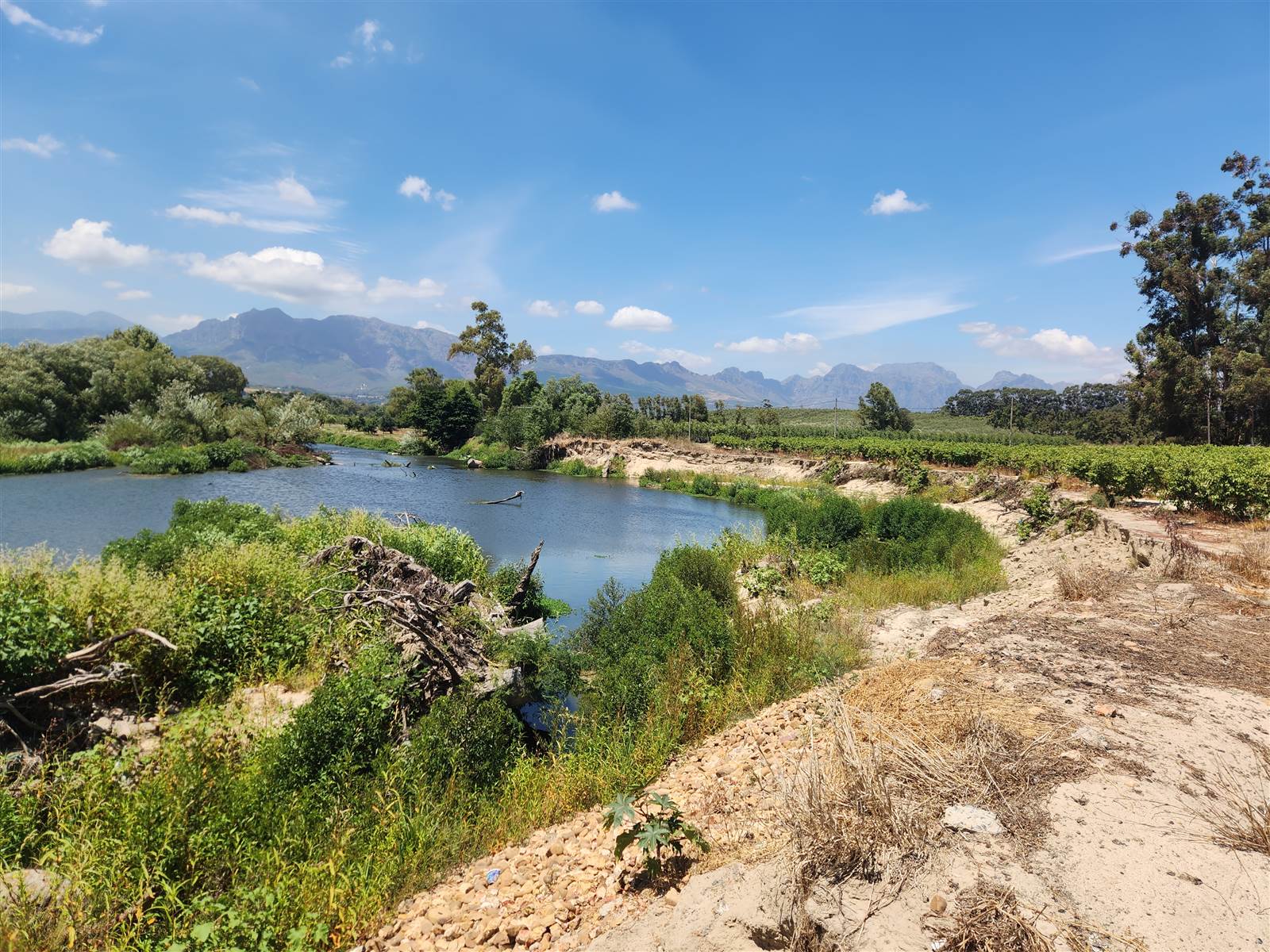 16.6 ha Farm in Northern Paarl photo number 11
