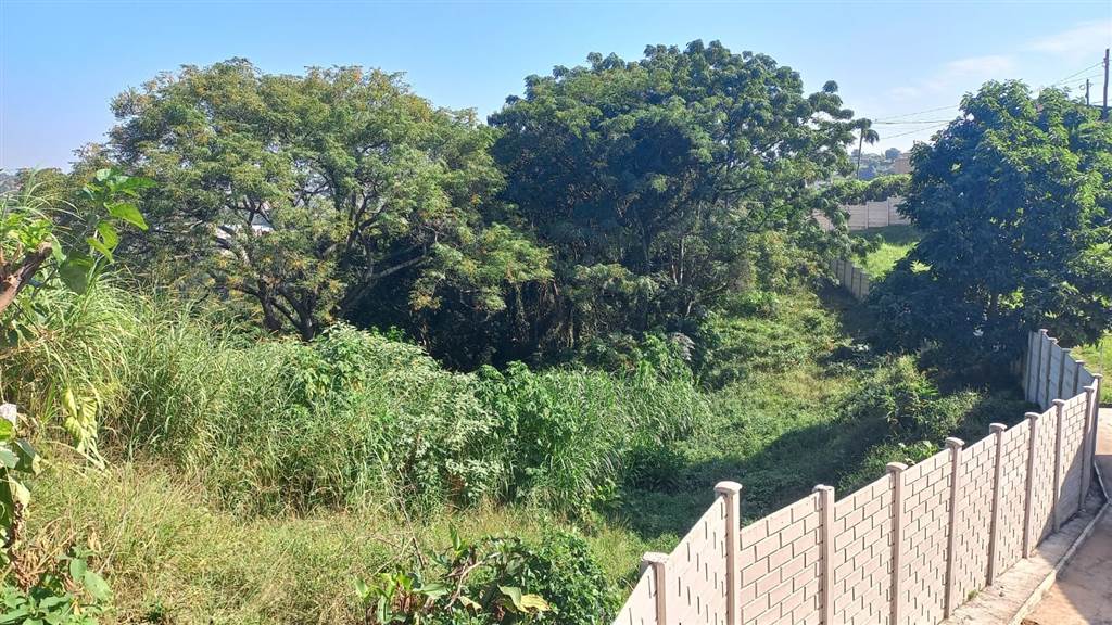 1130 m² Land available in Bellair photo number 6