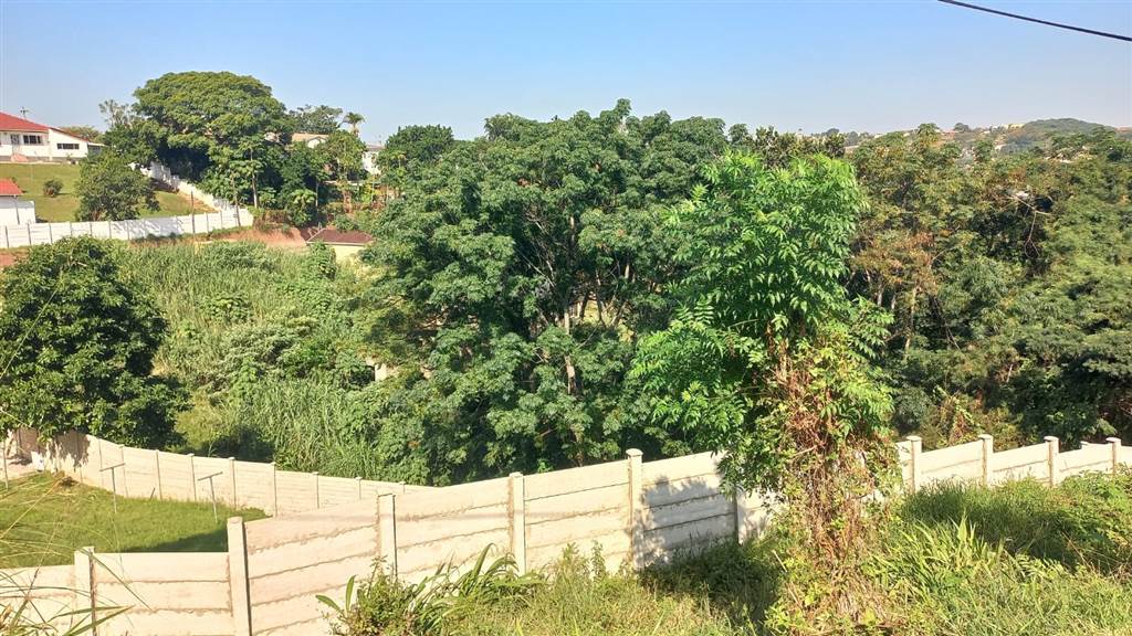 1130 m² Land available in Bellair photo number 5