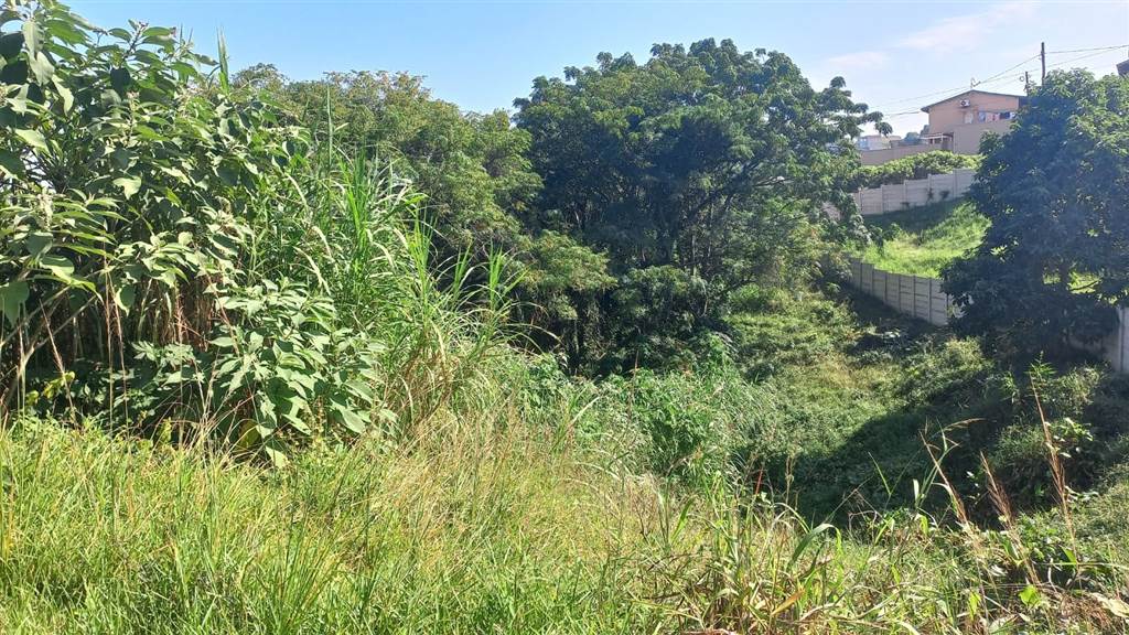 1130 m² Land available in Bellair photo number 2