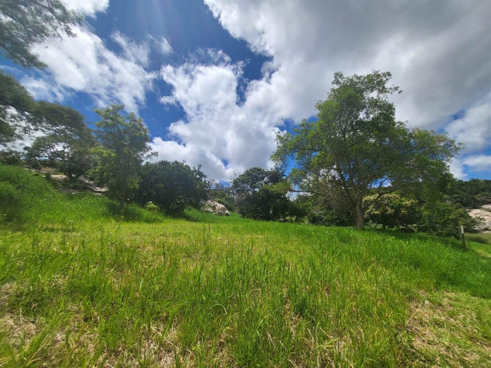 1698 m² Land available in The Rest Nature Estate photo number 8