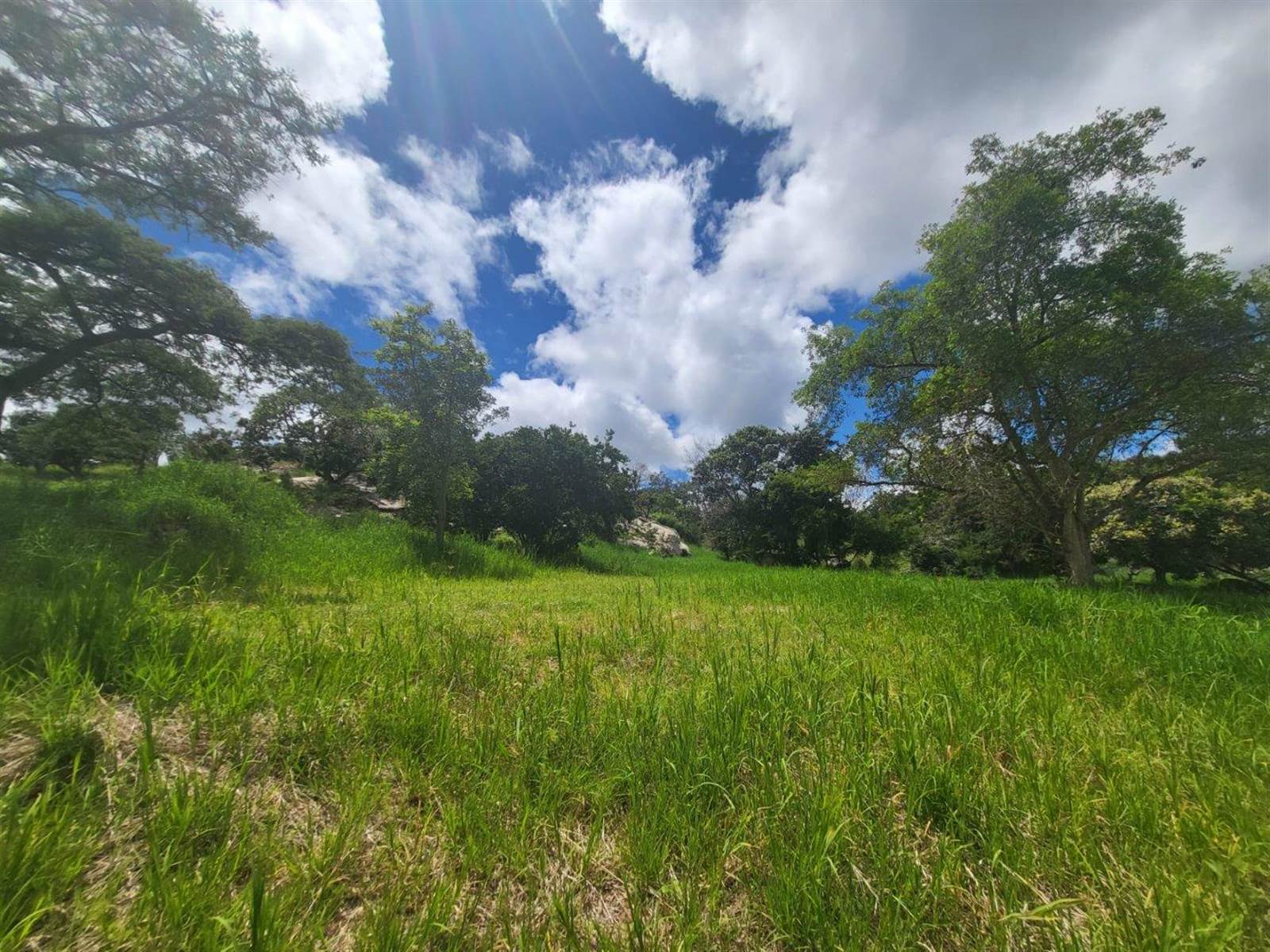 1698 m² Land available in The Rest Nature Estate photo number 6