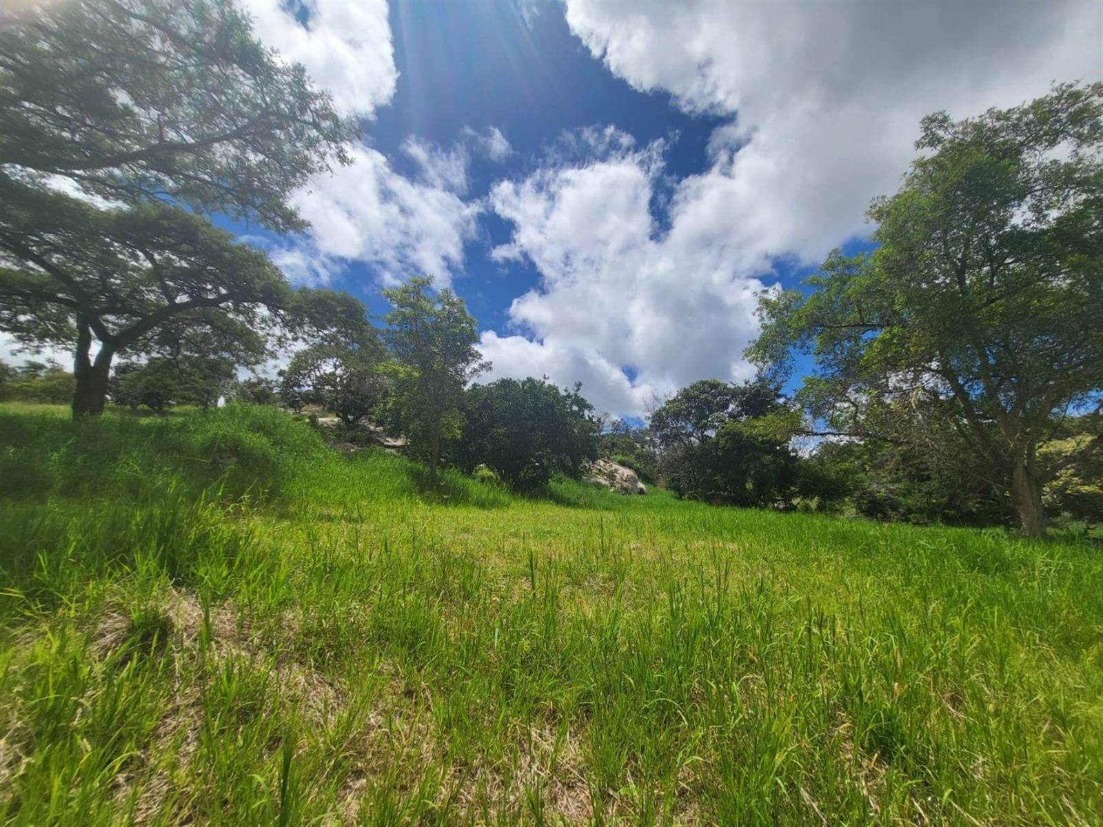 1698 m² Land available in The Rest Nature Estate photo number 17