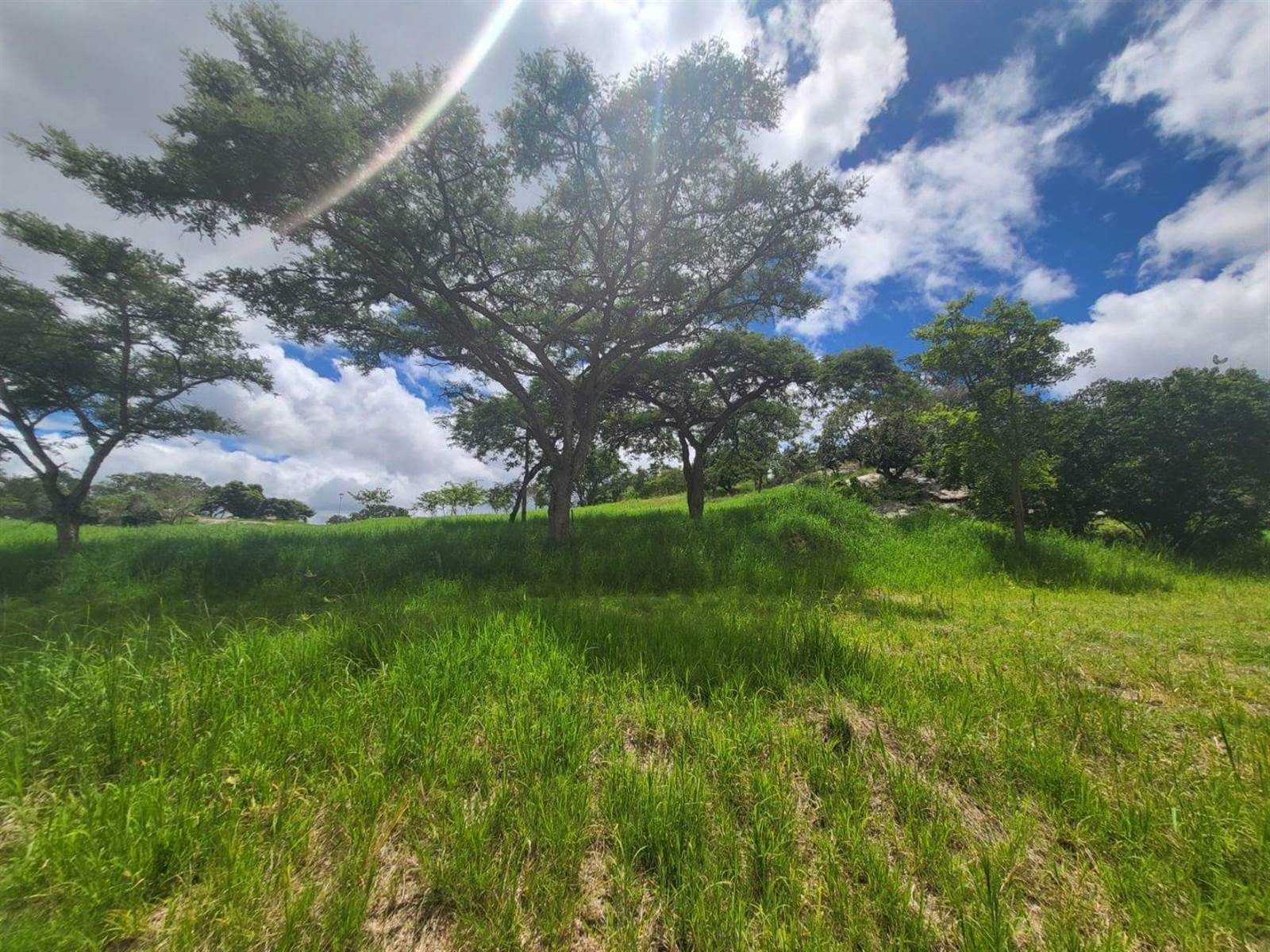 1698 m² Land available in The Rest Nature Estate photo number 9