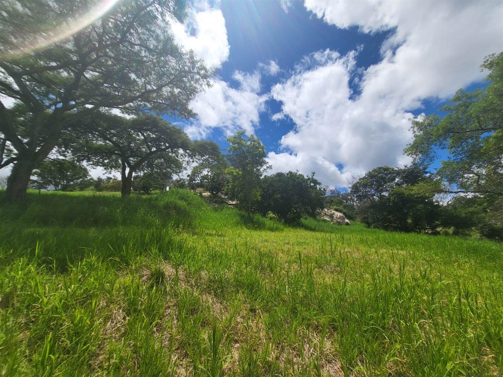 1698 m² Land available in The Rest Nature Estate photo number 16