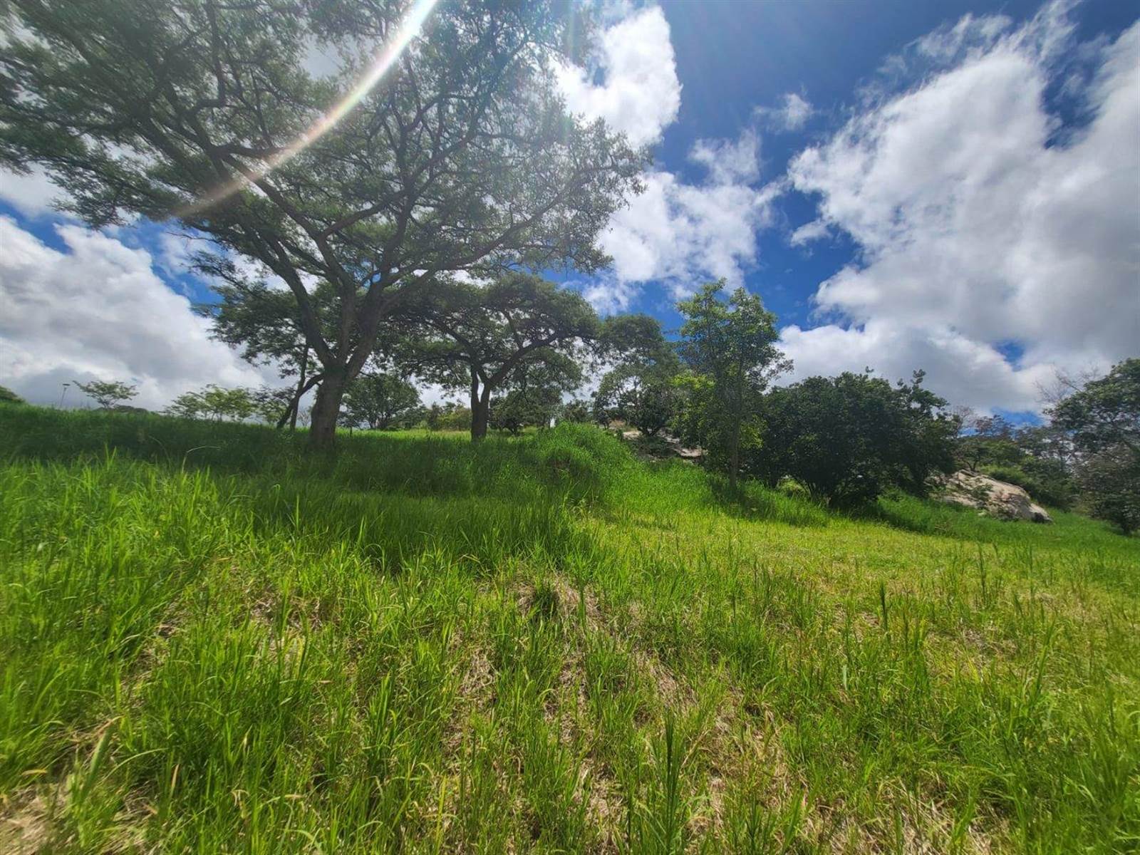 1698 m² Land available in The Rest Nature Estate photo number 14