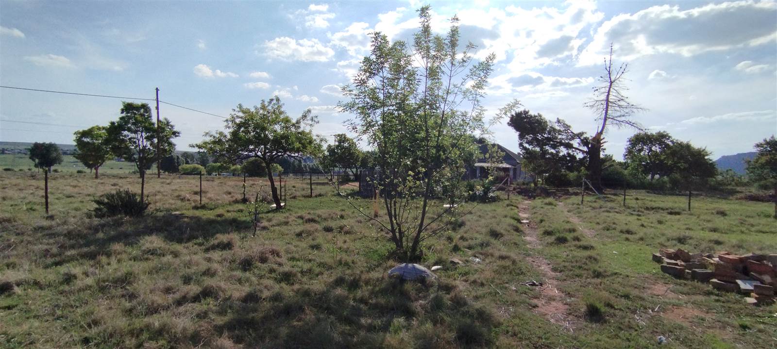 743 m² Land available in Rosendal photo number 8