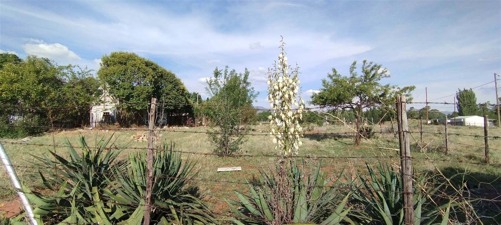 743 m² Land available in Rosendal photo number 2