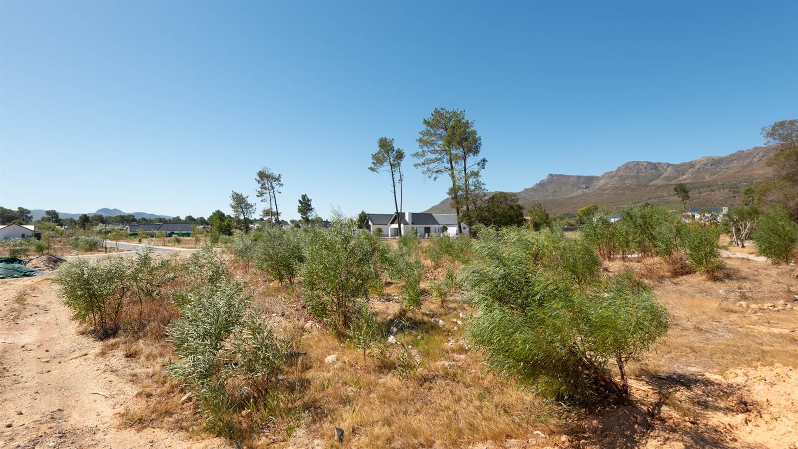 1111 m² Land available in Pearl Valley photo number 8