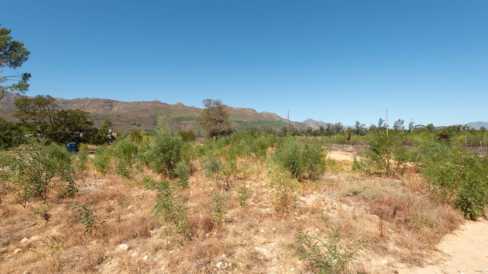 1111 m² Land available in Pearl Valley photo number 7