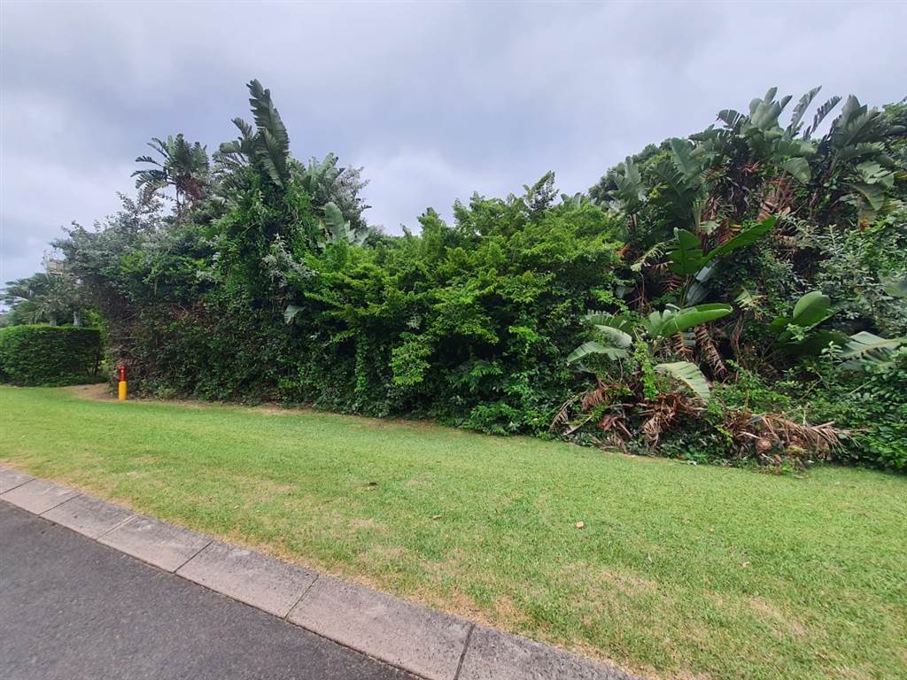 809 m² Land available in Port Edward photo number 8