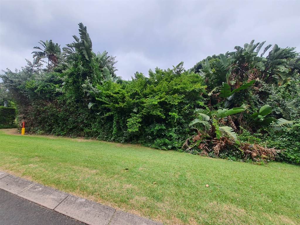 809 m² Land available in Port Edward photo number 6